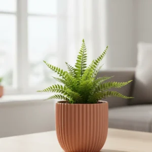 Decorative Indoor Plant Pot